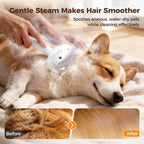 Steam Self-Cleaning Pet Brush