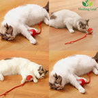 Cat Toy Ball With Led Light