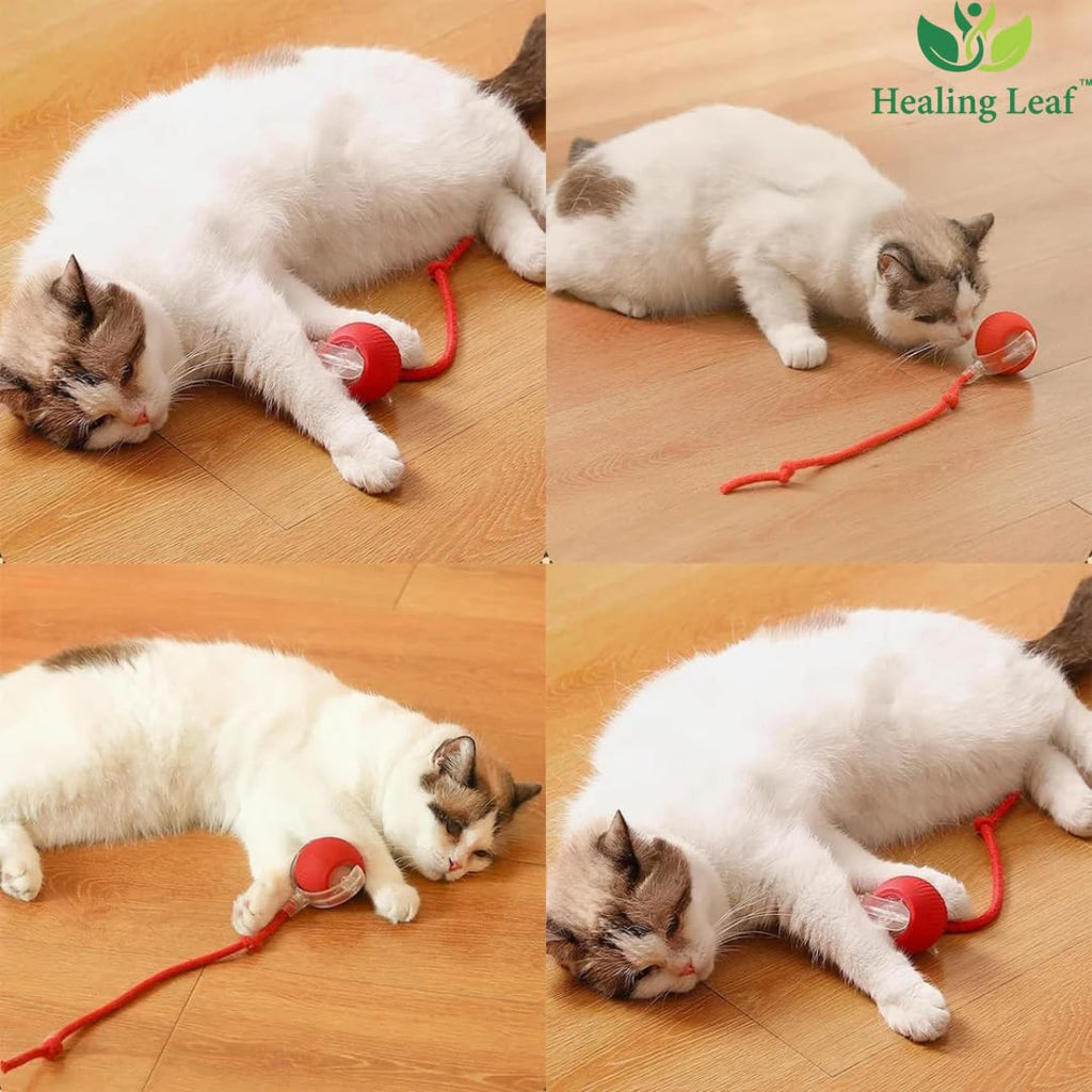 Cat Toy Ball With Led Light