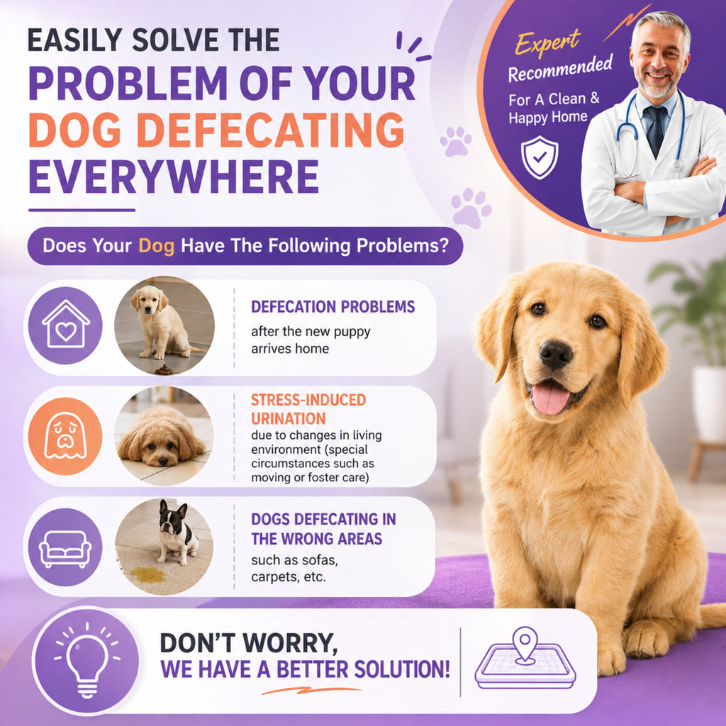 Pet Potty & Toilet Training Spray 150ml – Teach Your Pet the Right Spot