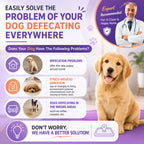 Pet Potty & Toilet Training Spray 150ml – Teach Your Pet the Right Spot