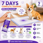 Pet Potty & Toilet Training Spray 150ml – Teach Your Pet the Right Spot